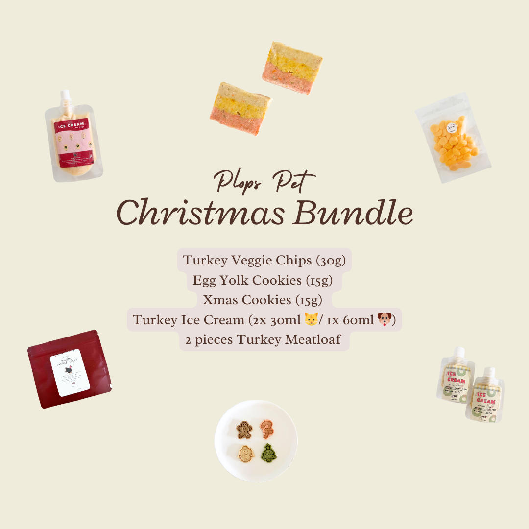 Christmas Bundle