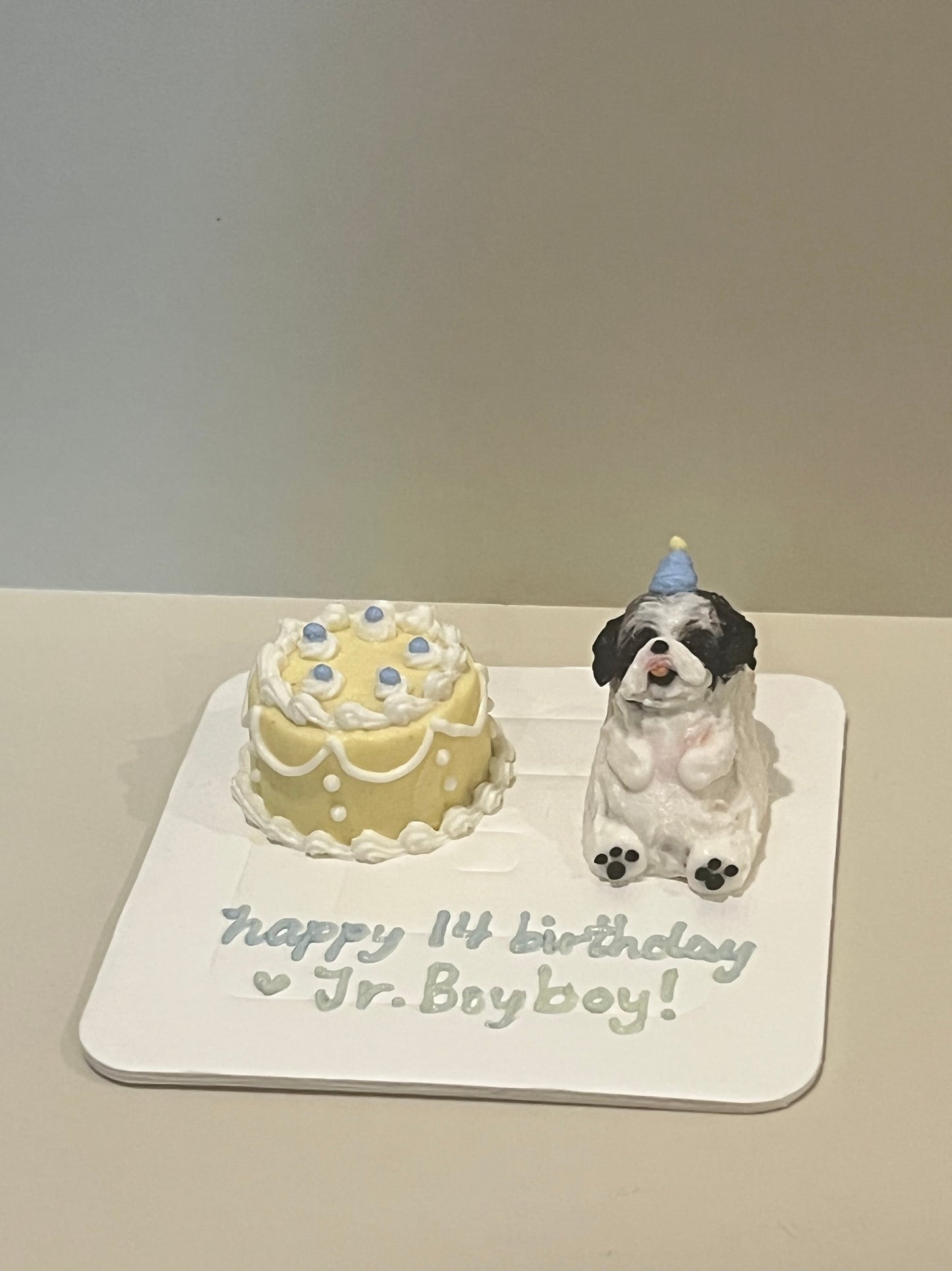 Micro Cake