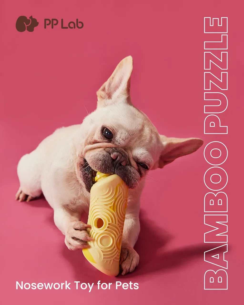 PP Lab - Bamboo Puzzle