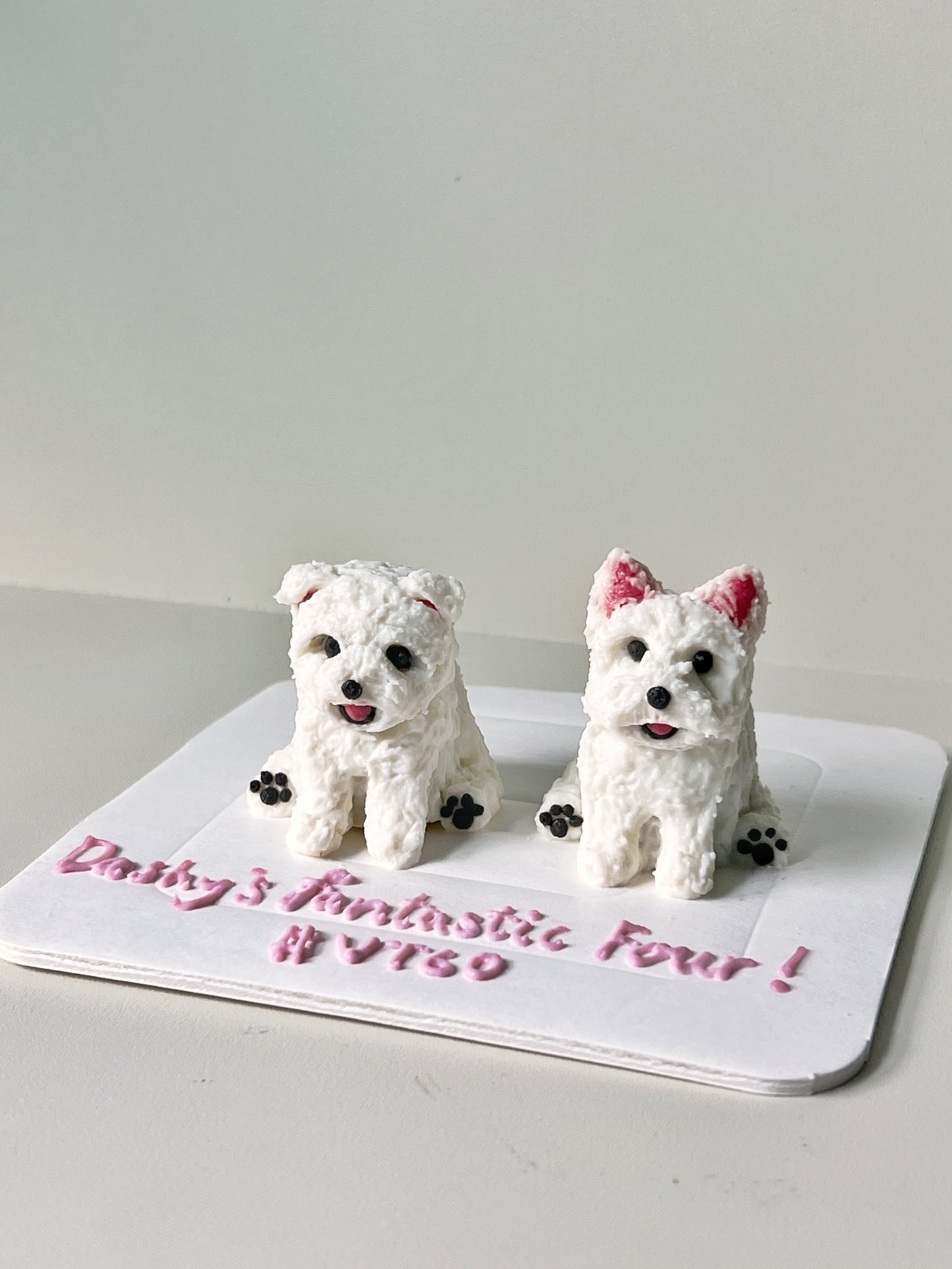 Micro Cake