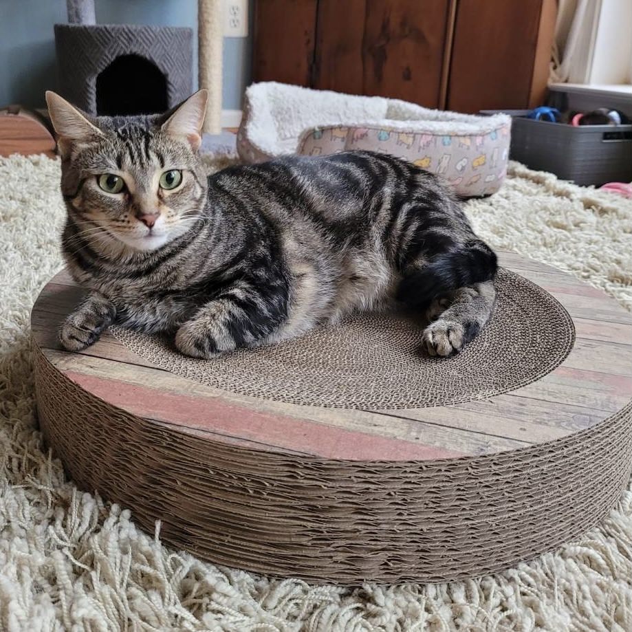 Set B (ONLYPETSXPLOPS)