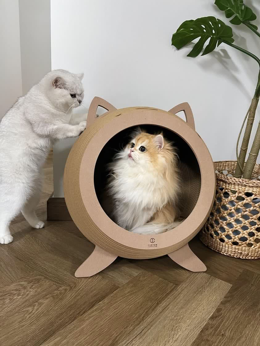 Set A (ONLYPETSXPLOPS)