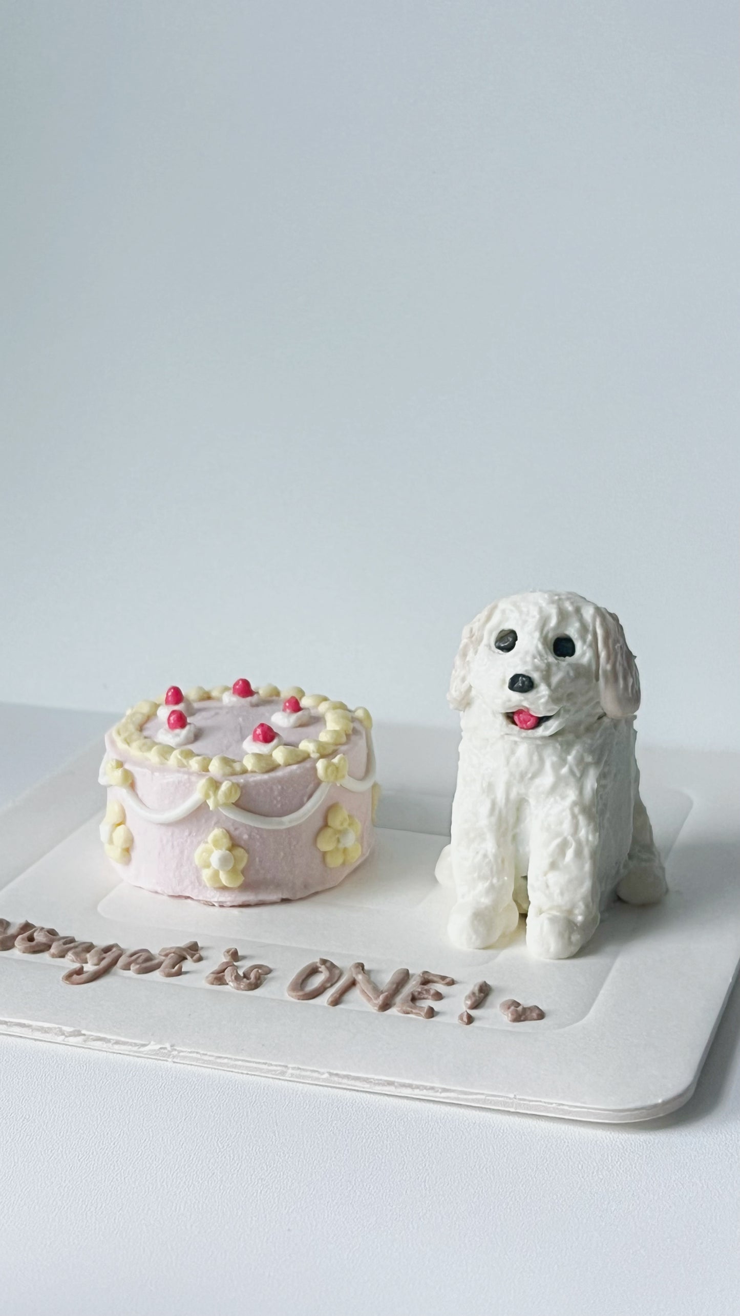 Mini 3D Figurine + Micro Cake