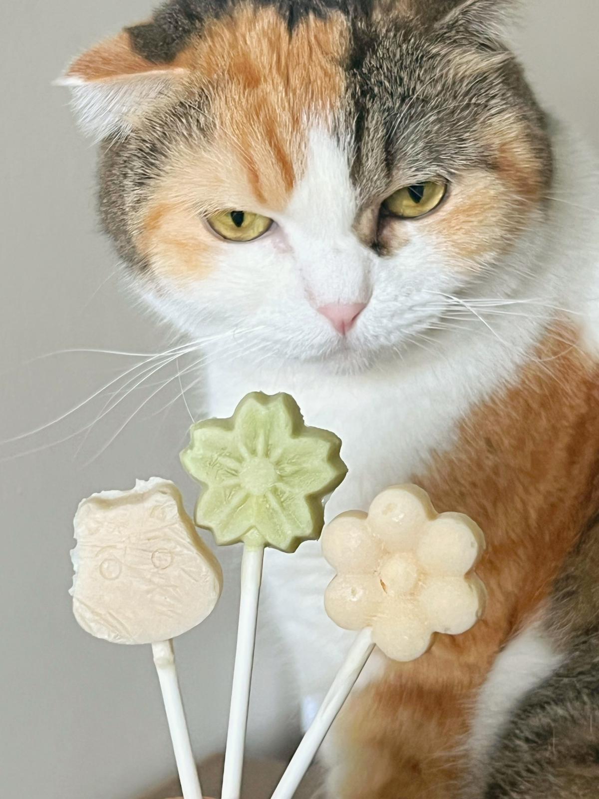 GPF - Ice Cream (cat)
