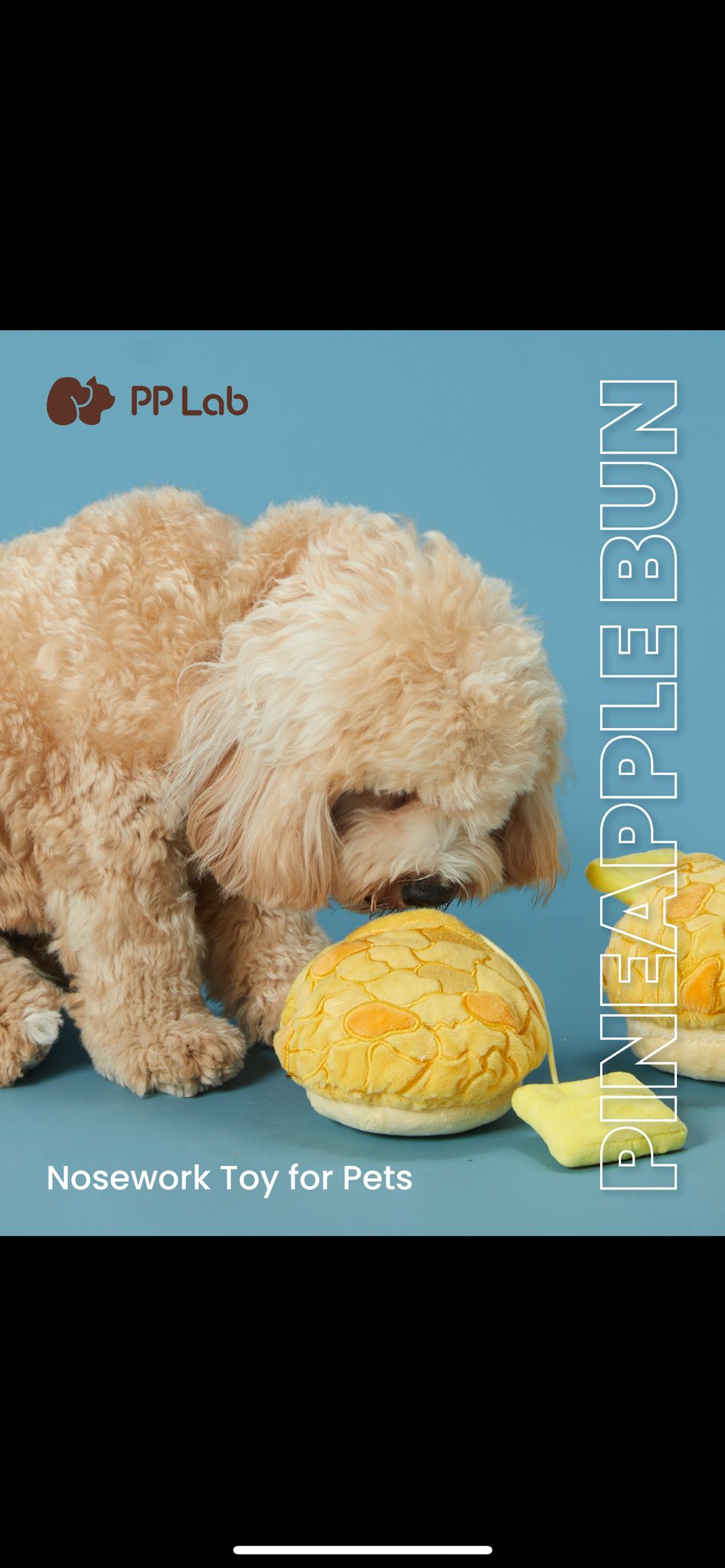 GPF - Snuffle Toy PO