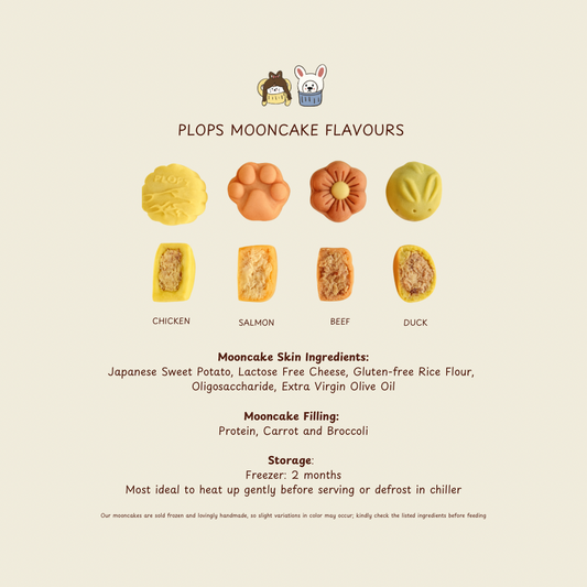Traditional Mooncake