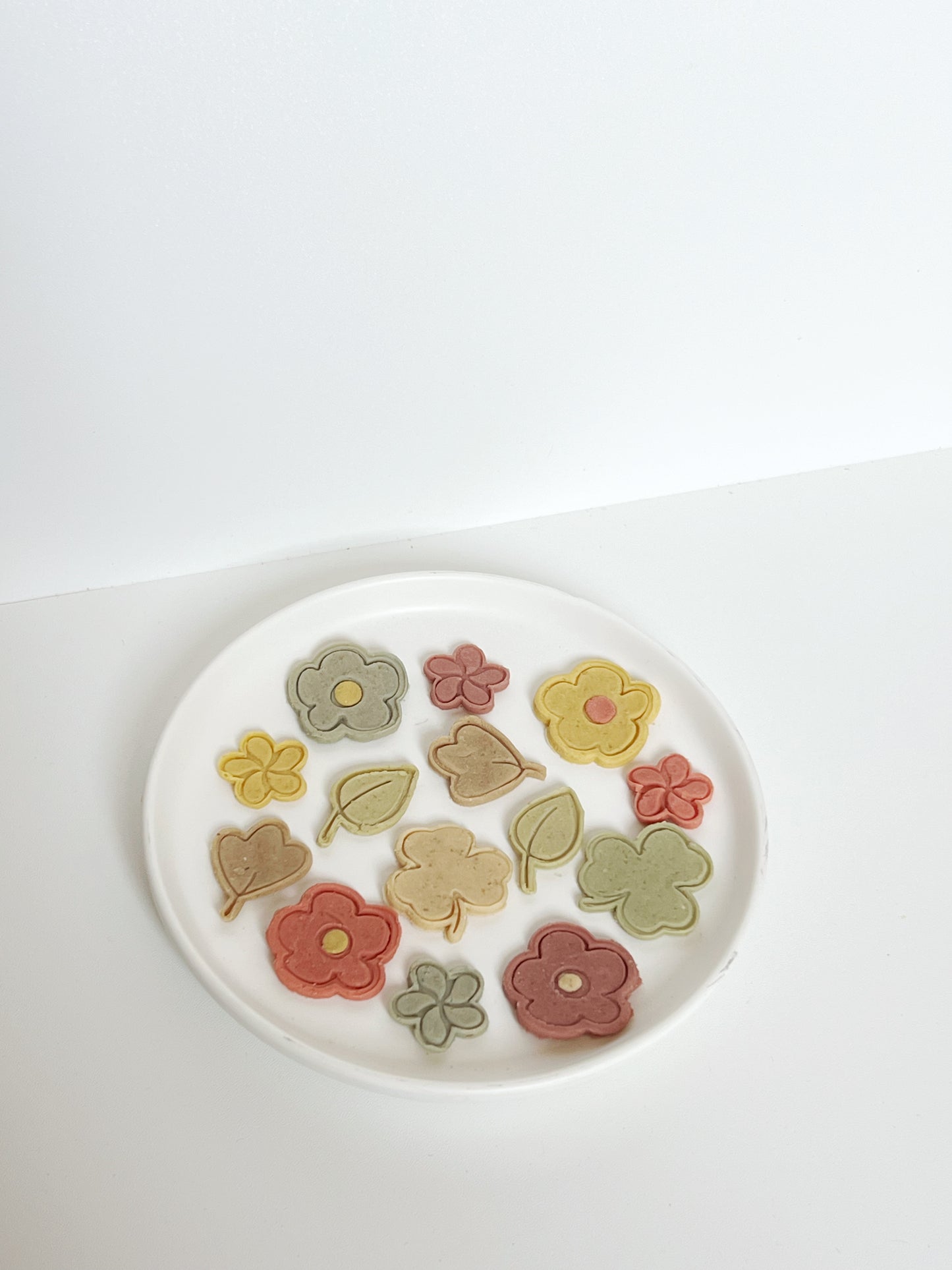 Spring Dehydrated Cookies
