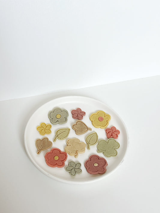 Spring Dehydrated Cookies