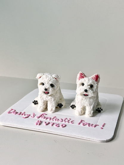 Micro Cake