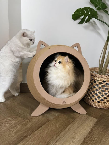 Set B (ONLYPETSXPLOPS)