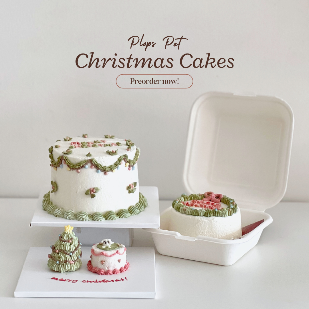 Micro Christmas Cake