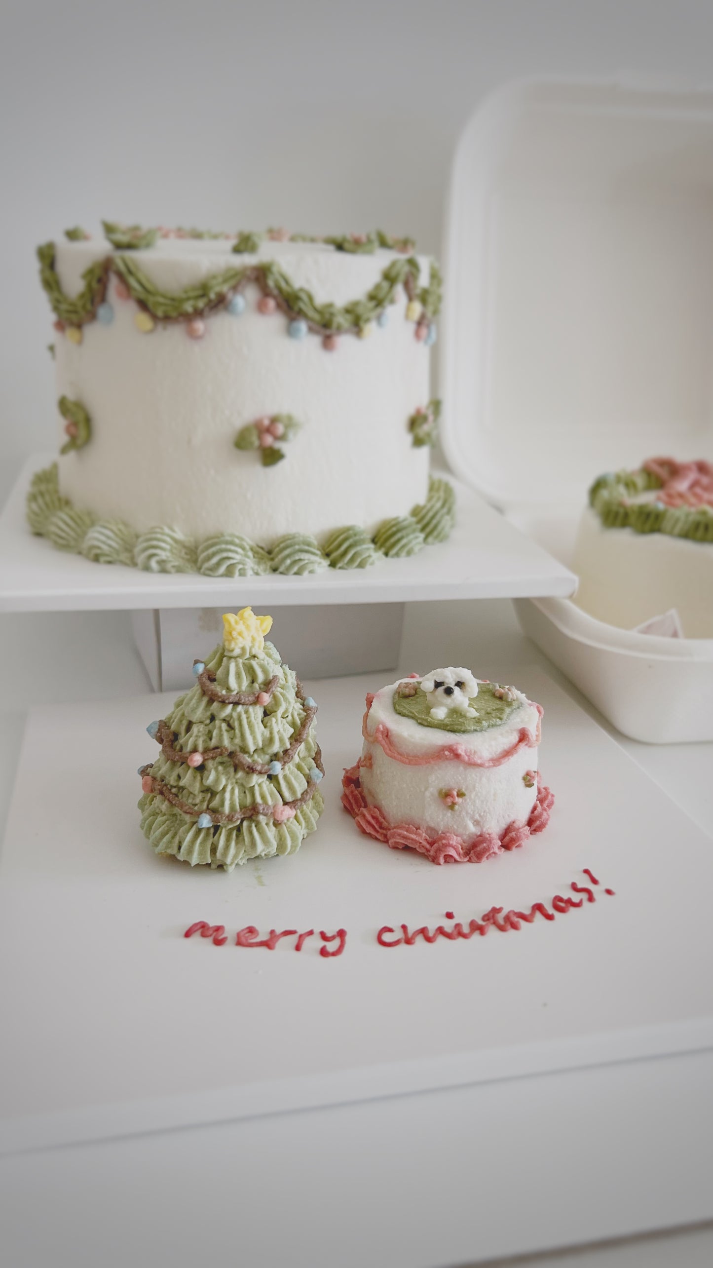 Micro Christmas Cake