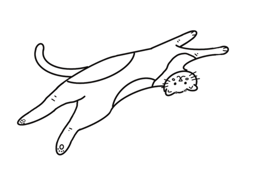 Plops! Sg Pet Bakery logo