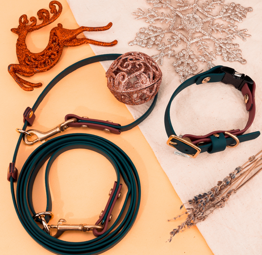 Biothane Christmas set - leash and collar