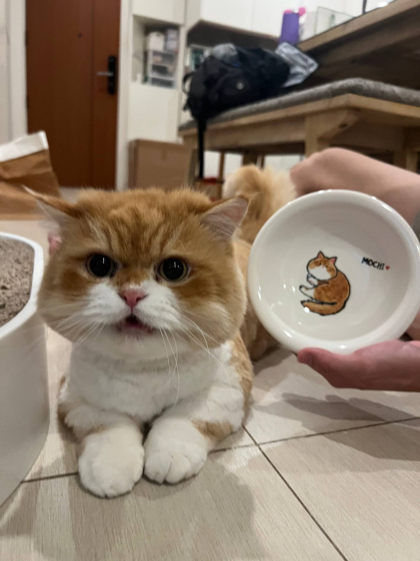 [PO] DODOHAE Handmade Ceramic Bowls: Custom bowls